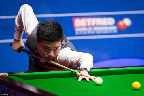 有着遍布精 有着遍布精